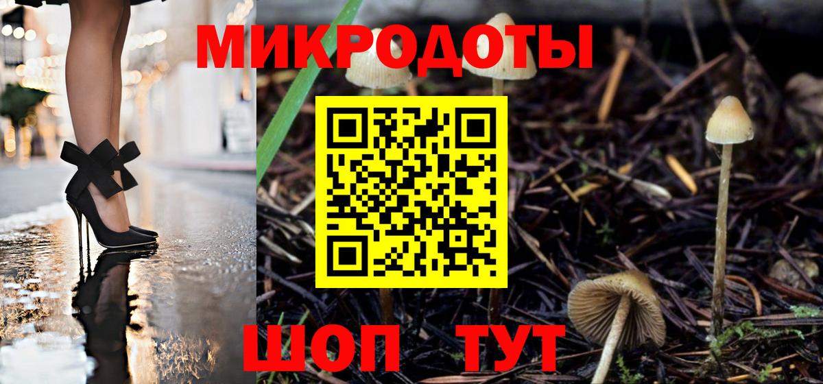 Галлюциногенные грибы ЛСД  Псилоцибиновые грибы Psilocybe  Вход с VPN  Нерюнгри 